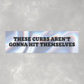 These Curbs Aren't Going to Hit Themselves Funny Brainrot Car Magnet (10"x3")