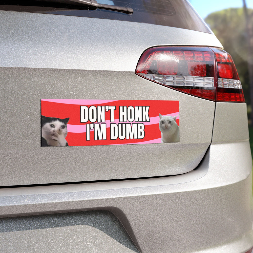 Don't Honk I'm Dumb Funny Cats Car Magnet (10"x3")