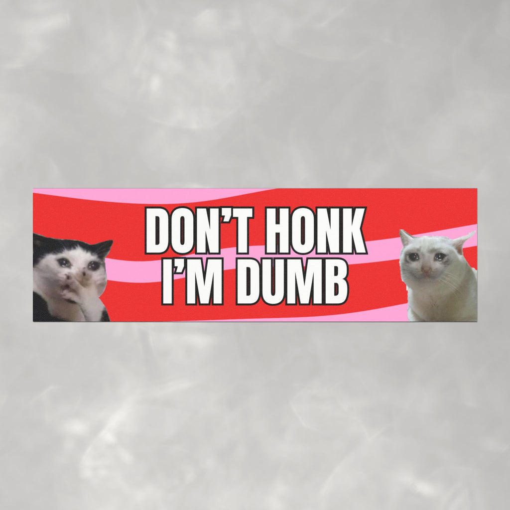 Don't Honk I'm Dumb Funny Cats Car Magnet (10"x3")
