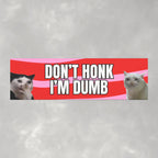 Don't Honk I'm Dumb Funny Cats Car Magnet (10"x3")