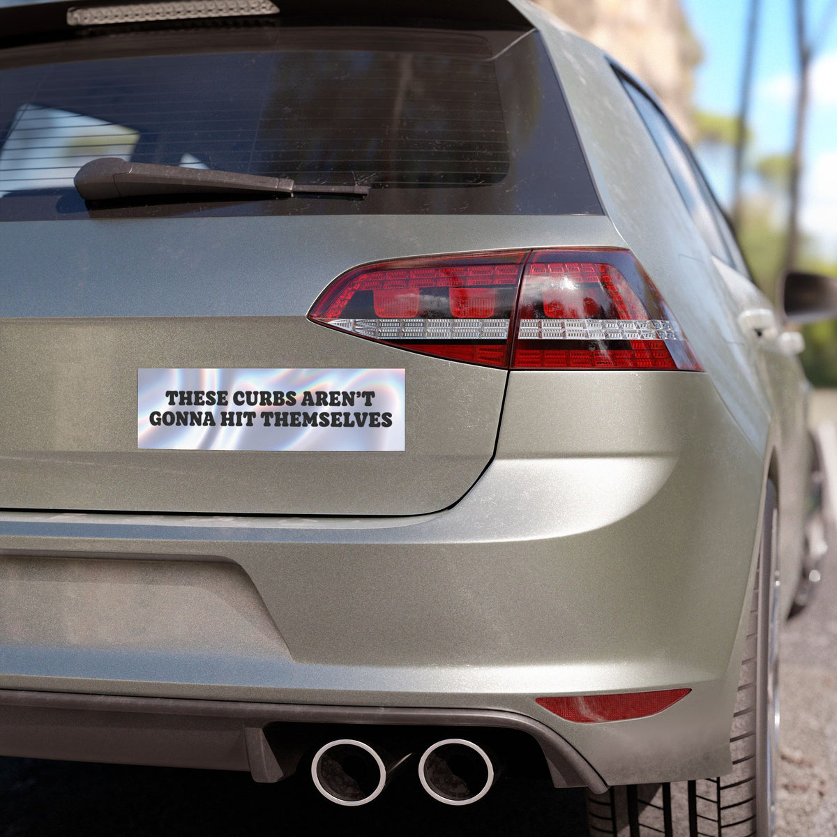 These Curbs Aren't Going to Hit Themselves Funny Brainrot Car Magnet (10"x3")