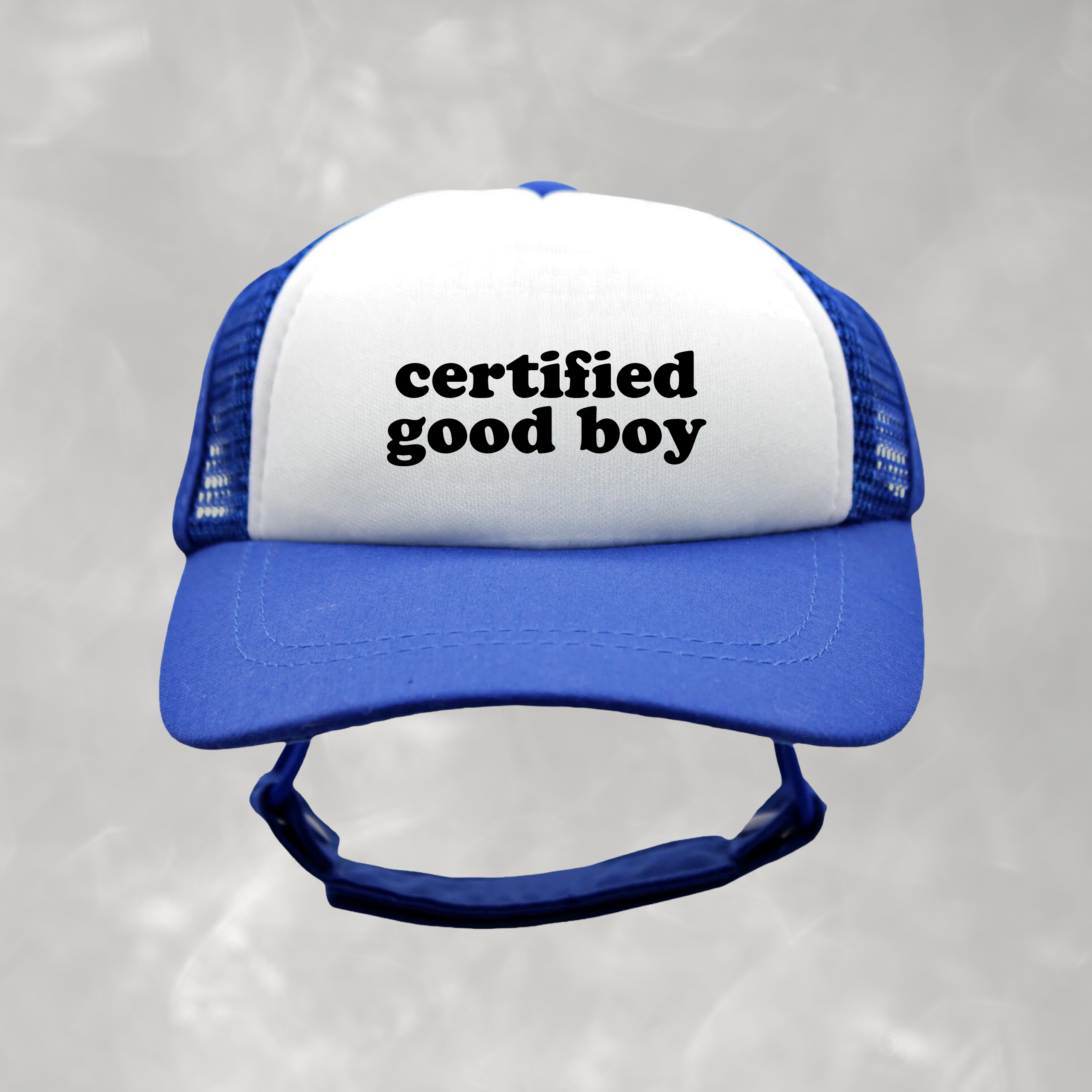 Certified Good Boy Dog Foam Trucker Hat