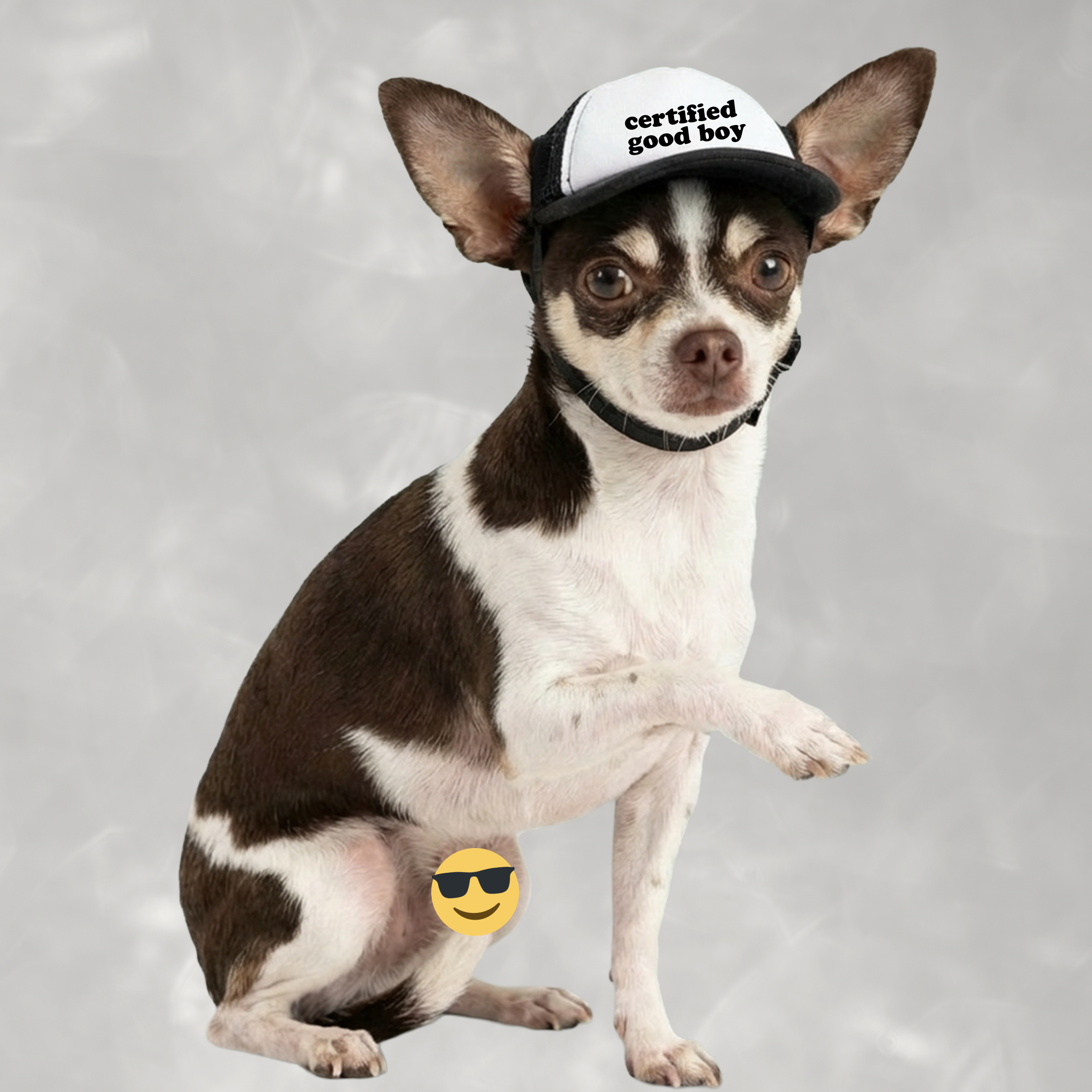 Certified Good Boy Dog Foam Trucker Hat