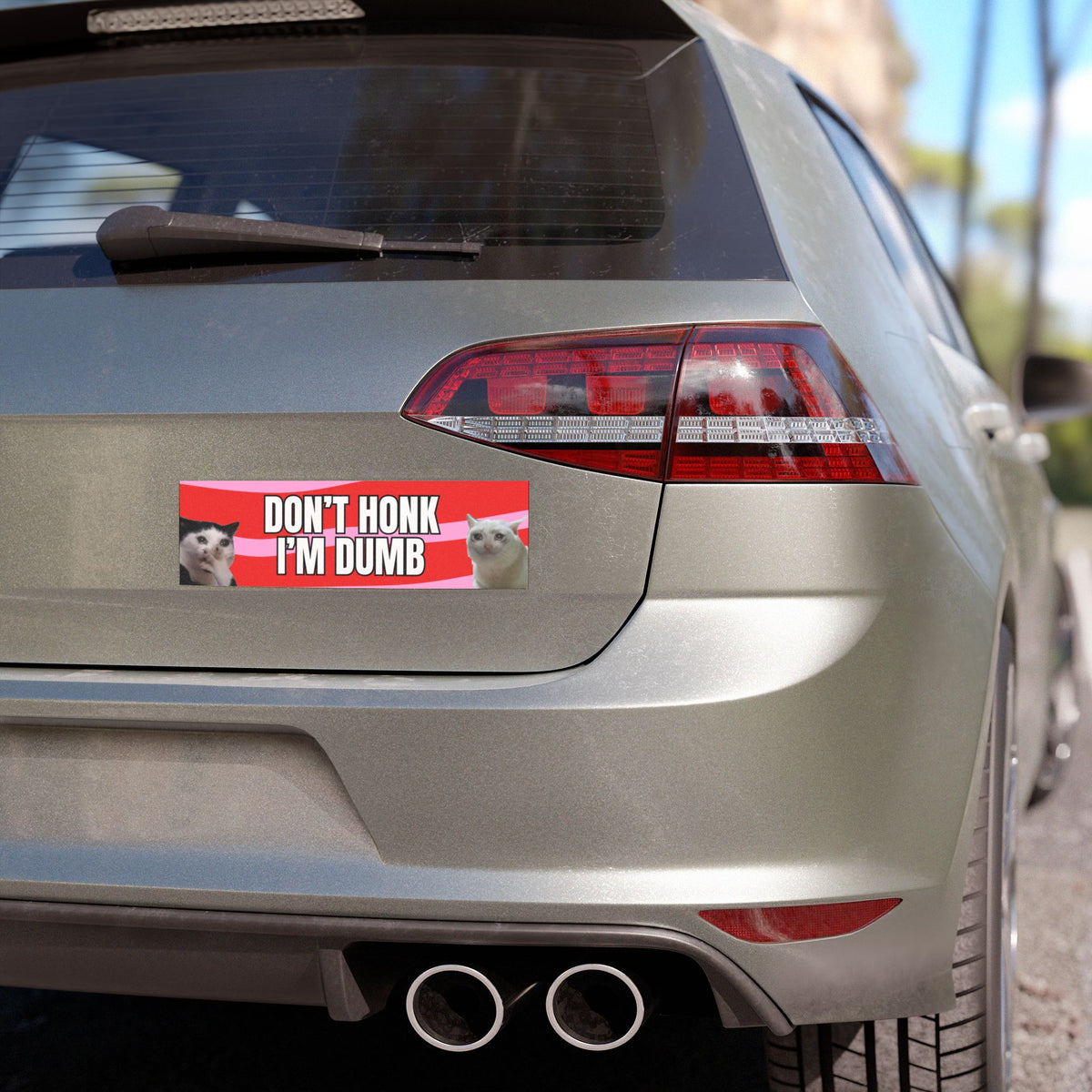 Don't Honk I'm Dumb Funny Cats Car Magnet (10"x3")