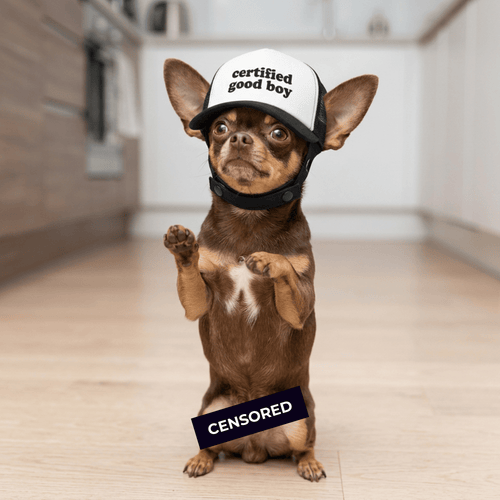 Certified Good Boy Dog Foam Trucker Hat with Ear Slots