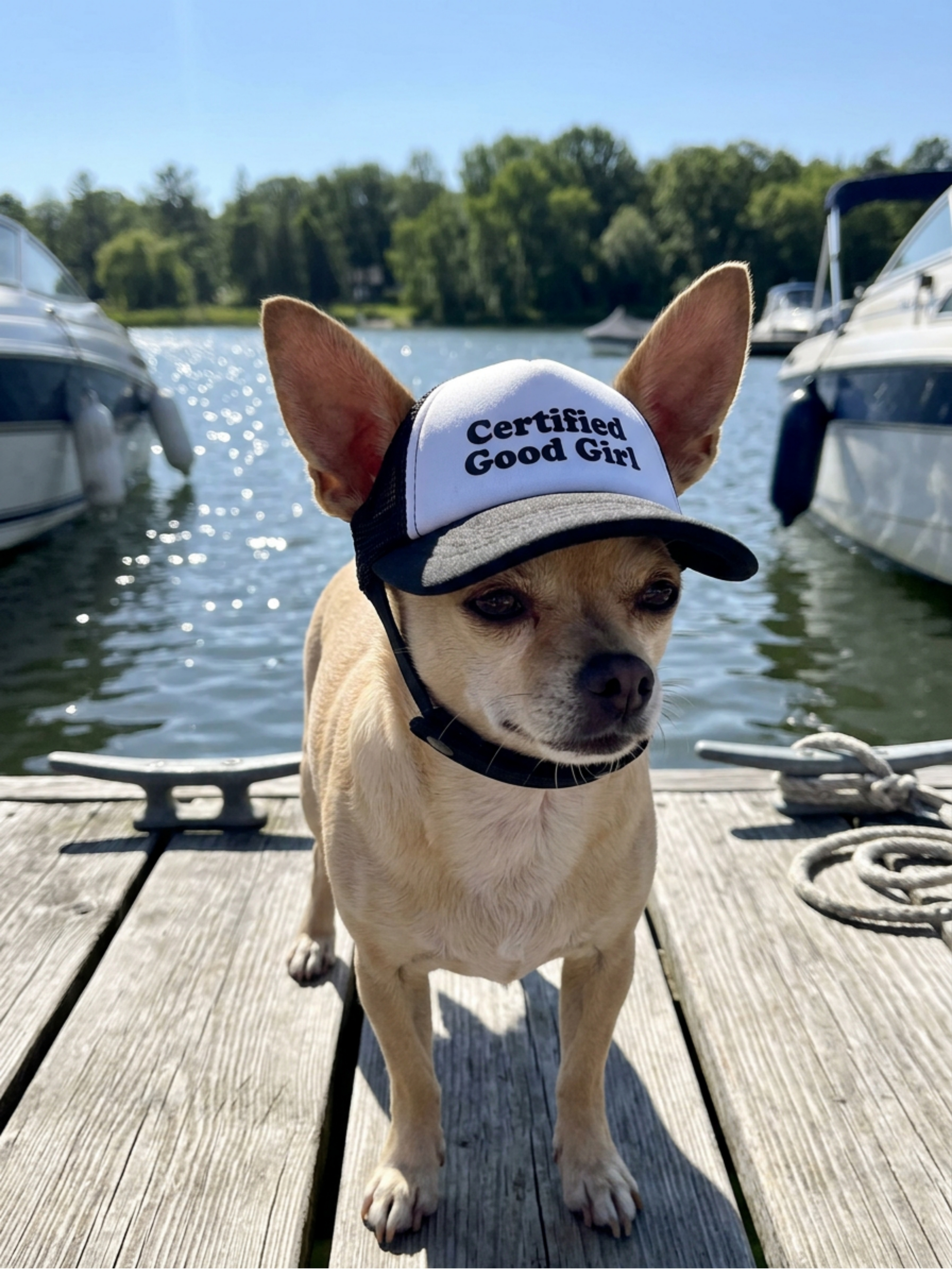 Certified Good Girl Dog Foam Trucker Hat with Ear Slots